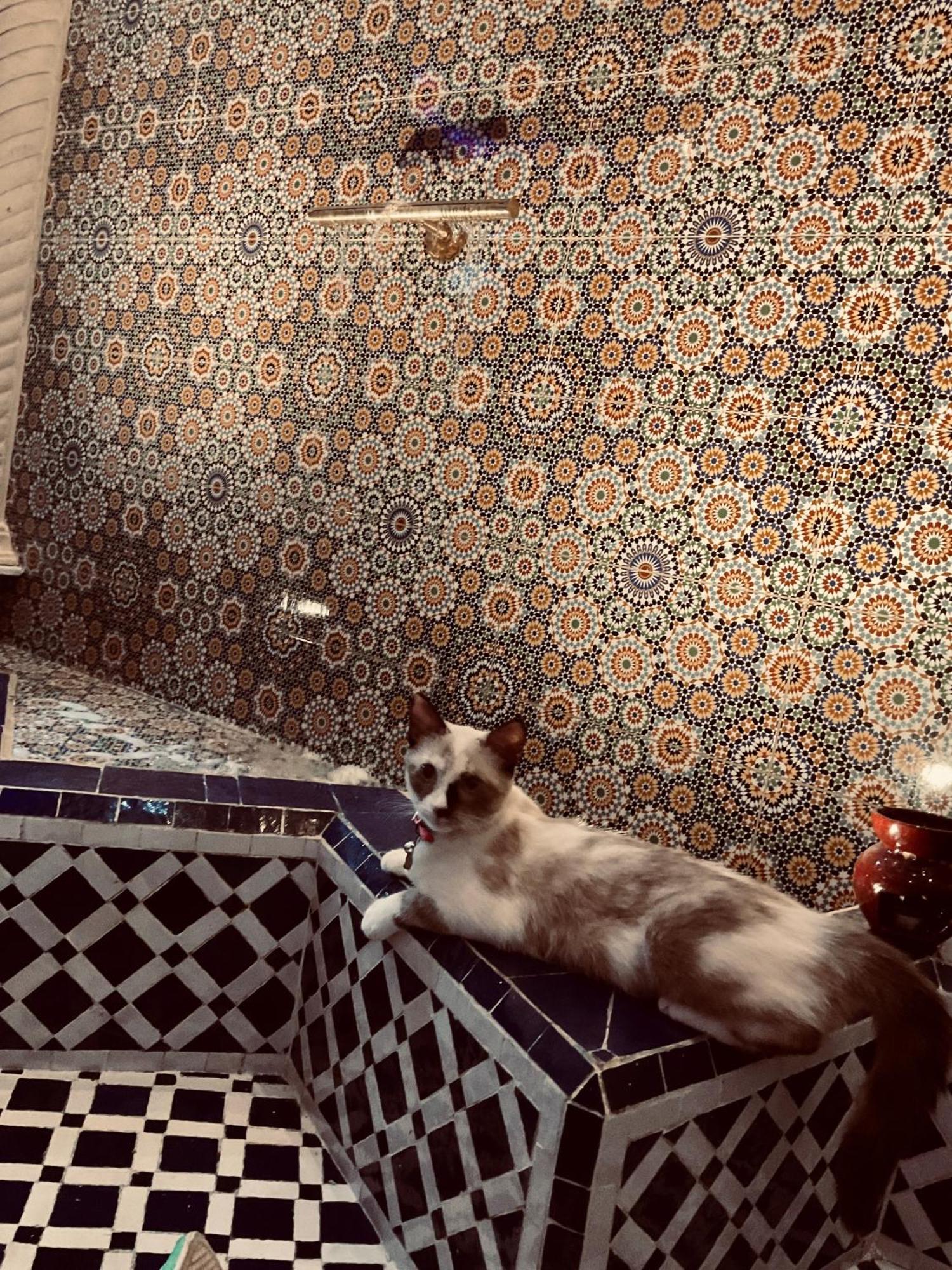 Riad Lalla Merieme Marakeş Dış mekan fotoğraf